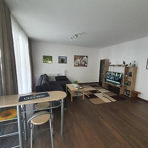 Appartement met een Slaapkamer